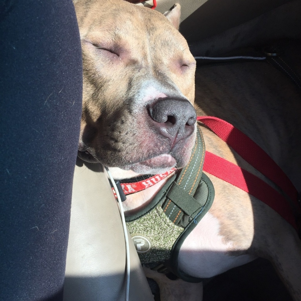 Meet your Posher, Sebastian